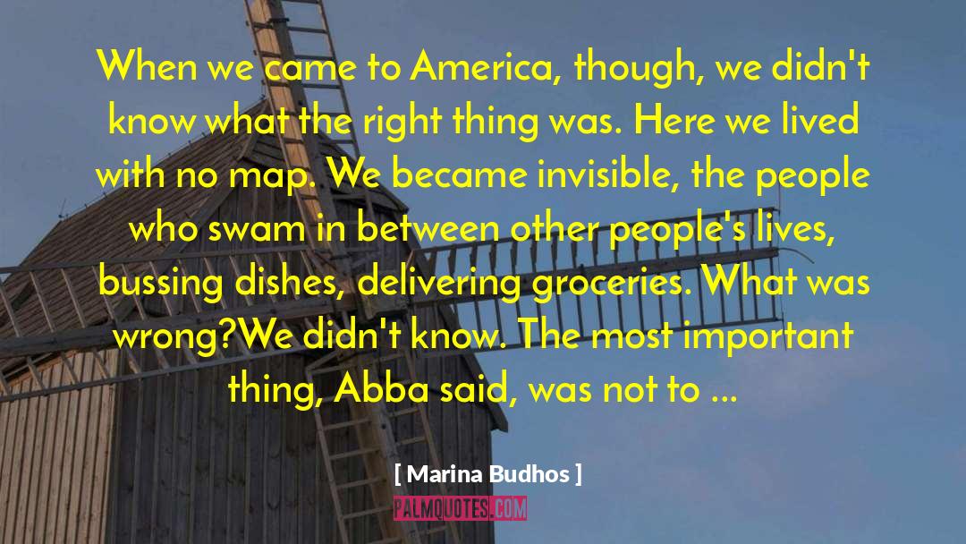 Marina Budhos Quotes: When we came to America,