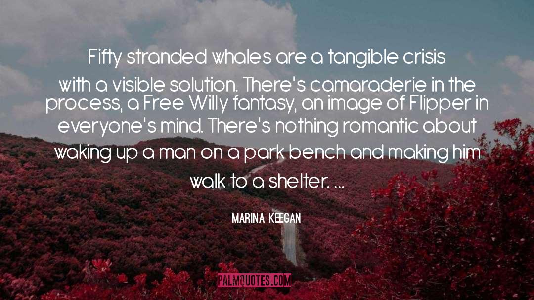 Marina Keegan Quotes: Fifty stranded whales are a