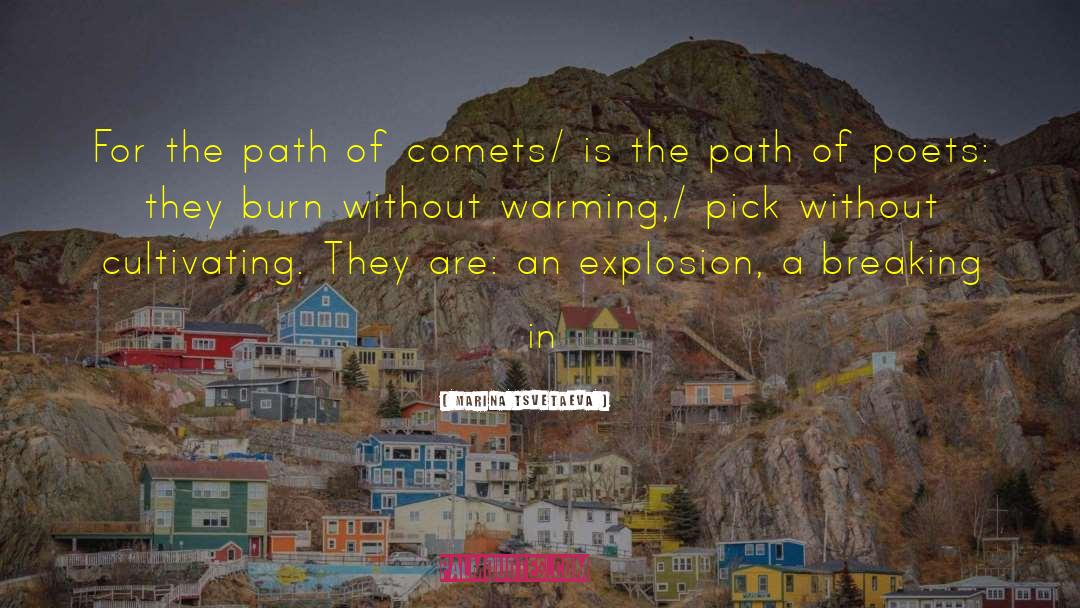 Marina Tsvetaeva Quotes: For the path of comets/