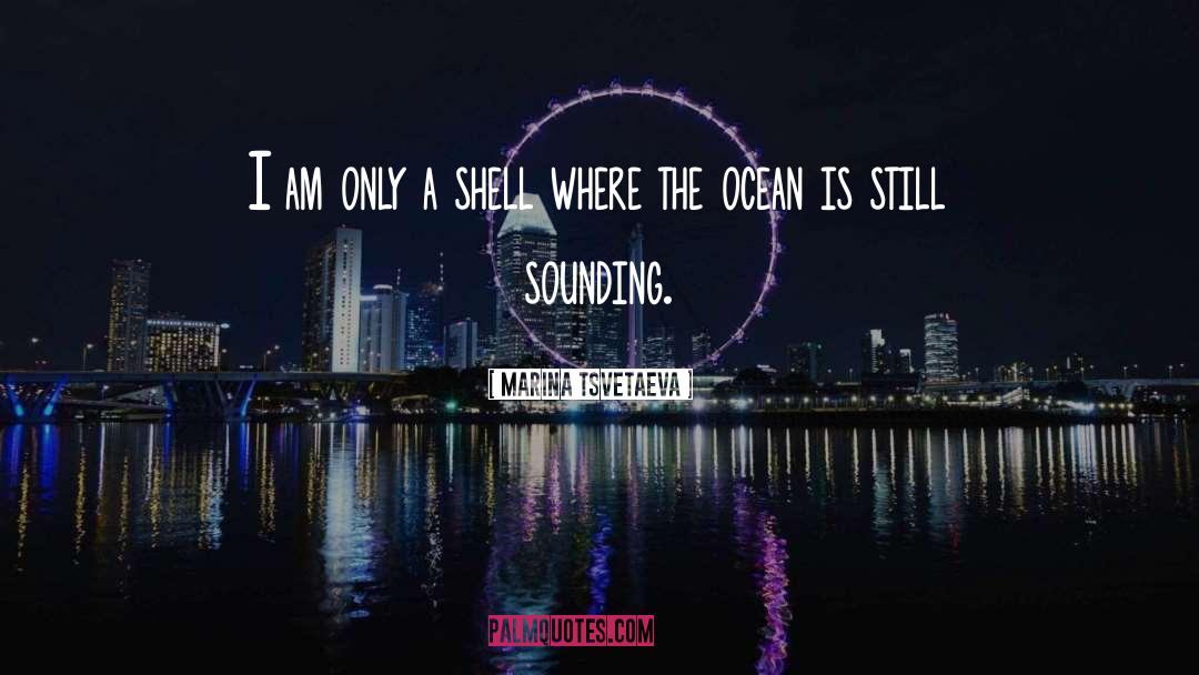 Marina Tsvetaeva Quotes: I am only a shell