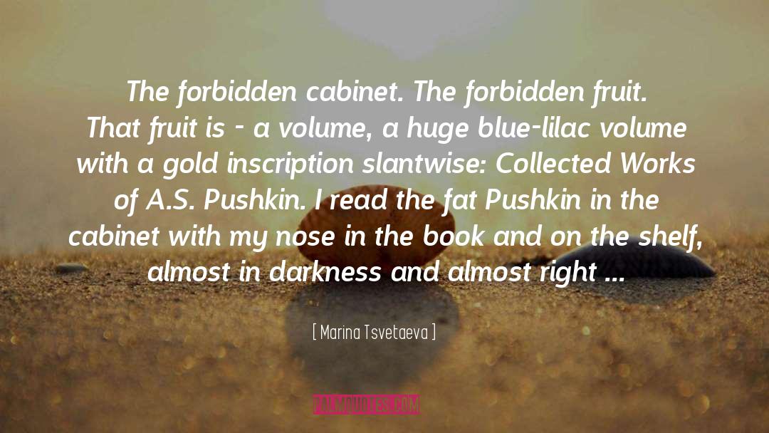 Marina Tsvetaeva Quotes: The forbidden cabinet. The forbidden