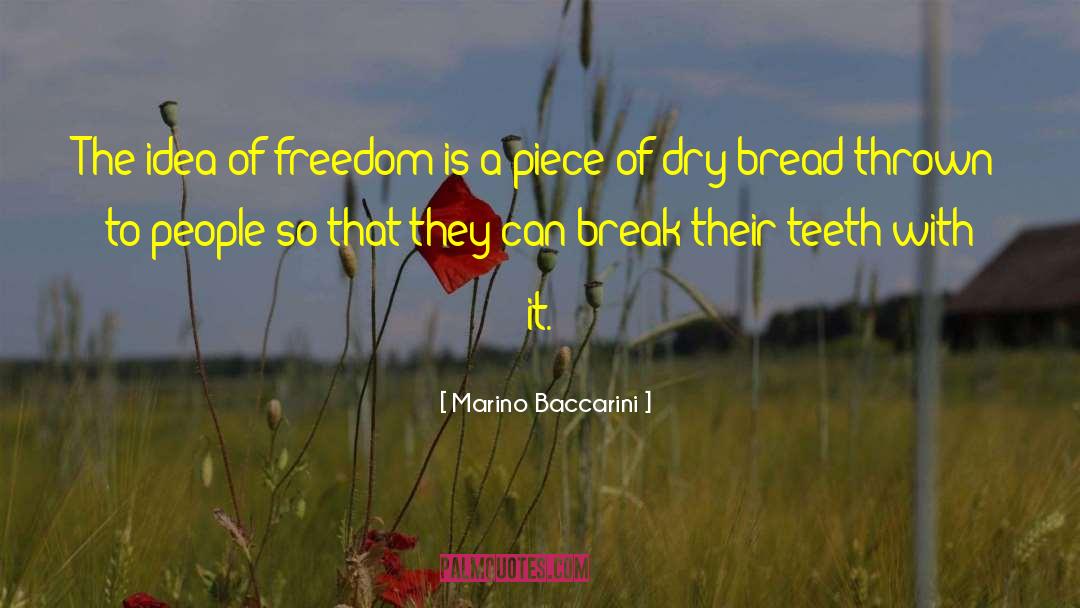 Marino Baccarini Quotes: The idea of freedom is