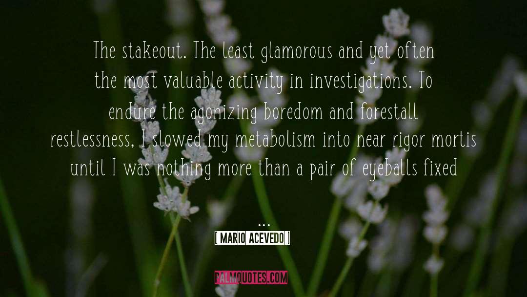 Mario Acevedo Quotes: The stakeout. The least glamorous