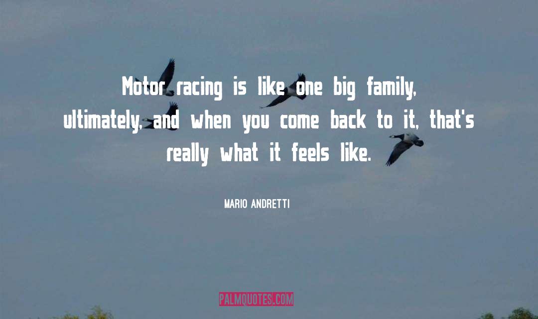 Mario Andretti Quotes: Motor racing is like one