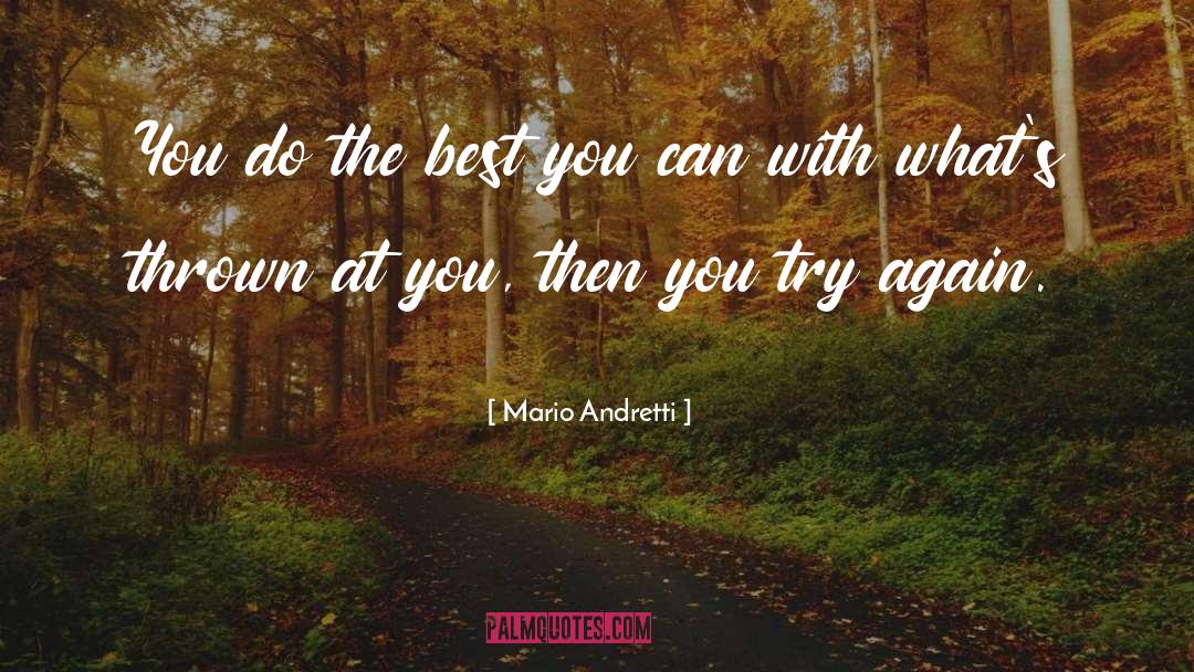 Mario Andretti Quotes: You do the best you