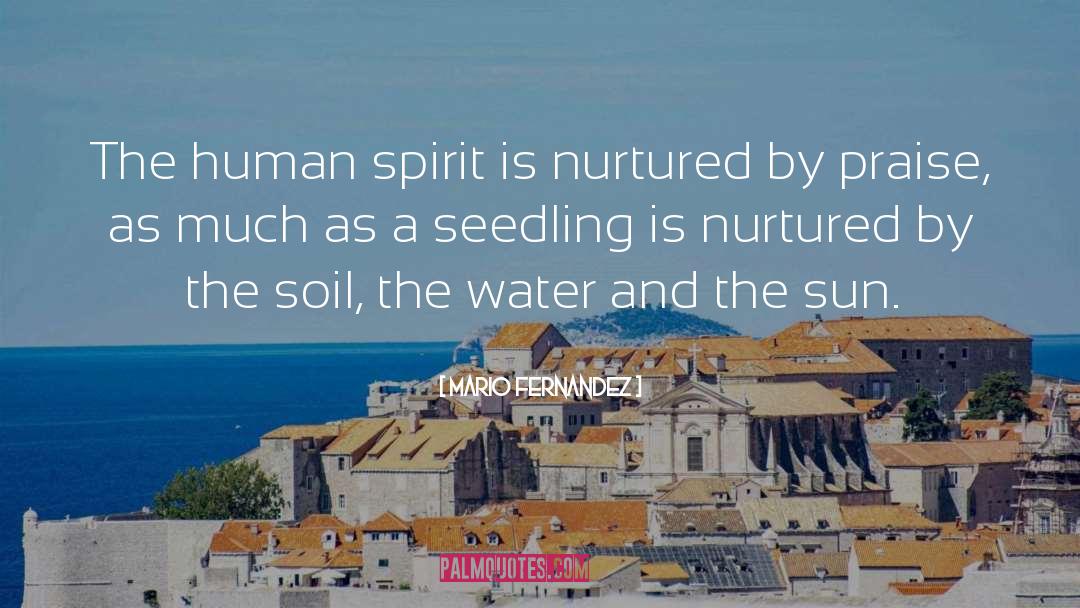 Mario Fernandez Quotes: The human spirit is nurtured