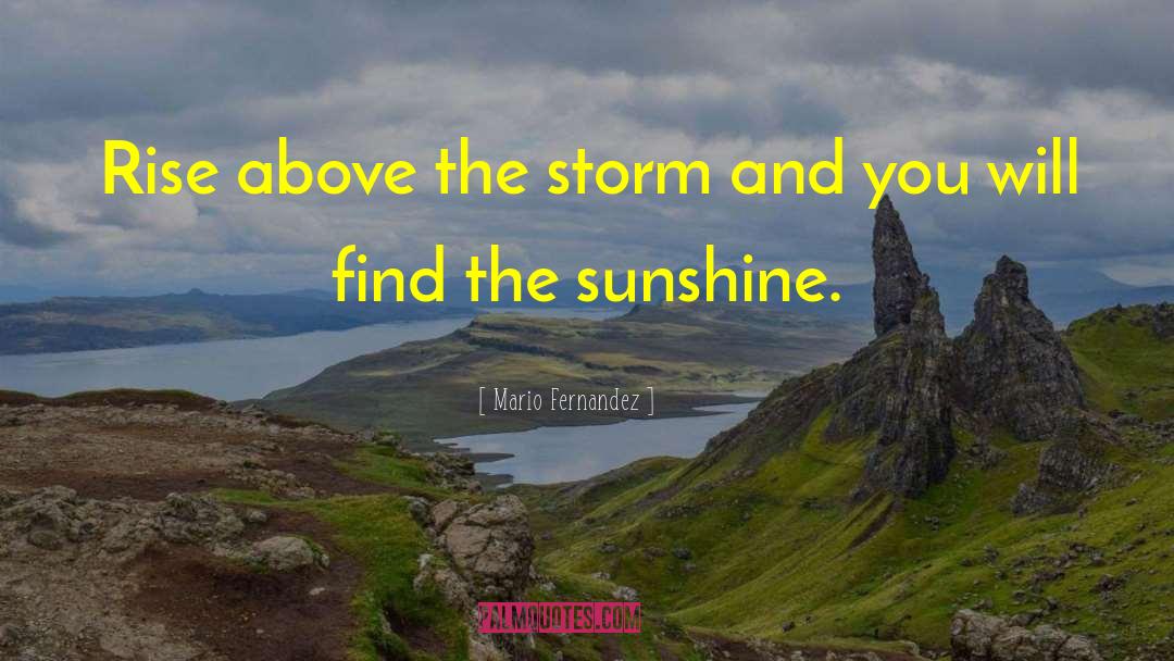 Mario Fernandez Quotes: Rise above the storm and