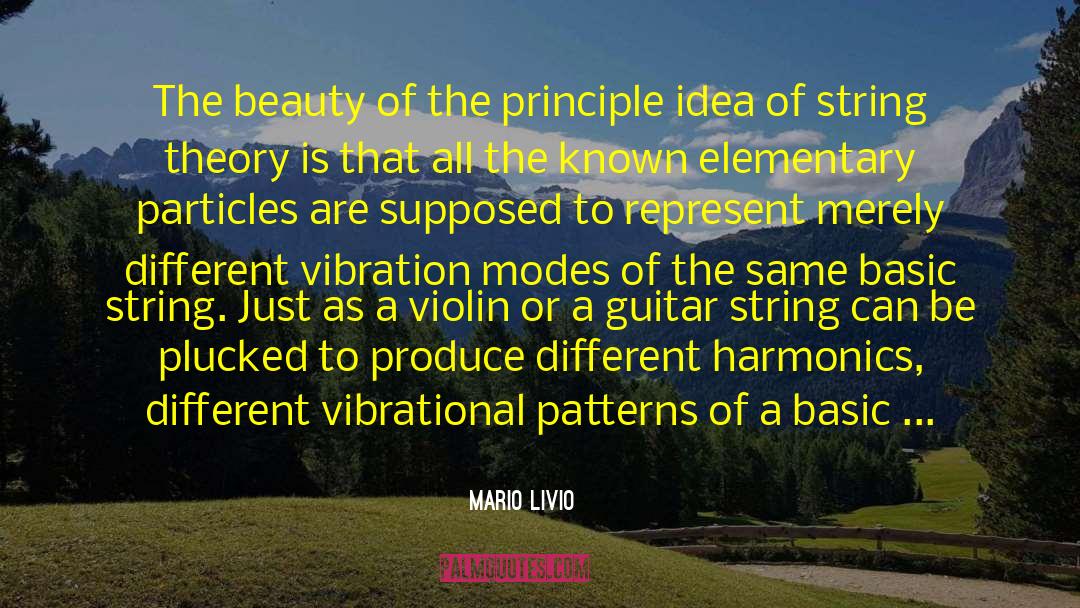Mario Livio Quotes: The beauty of the principle