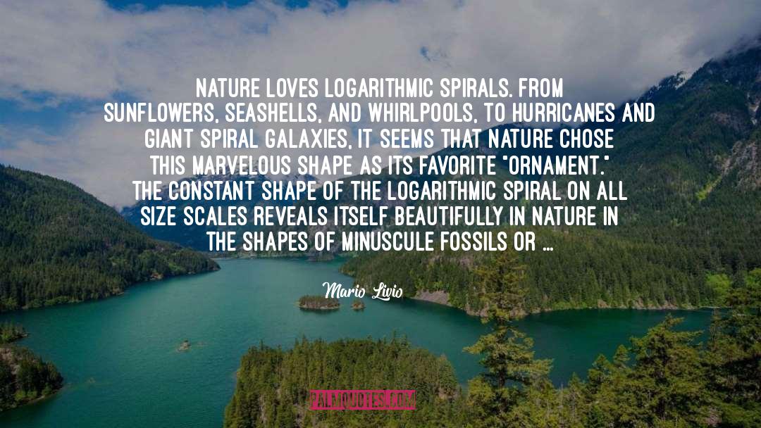 Mario Livio Quotes: Nature loves logarithmic spirals. From