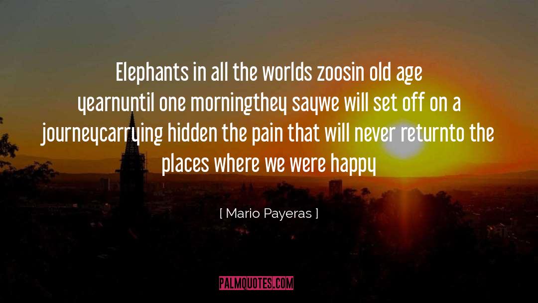 Mario Payeras Quotes: Elephants in all the worlds