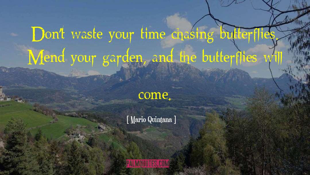 Mario Quintana Quotes: Don't waste your time chasing