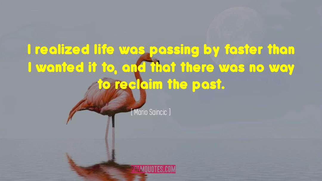 Mario Saincic Quotes: I realized life was passing