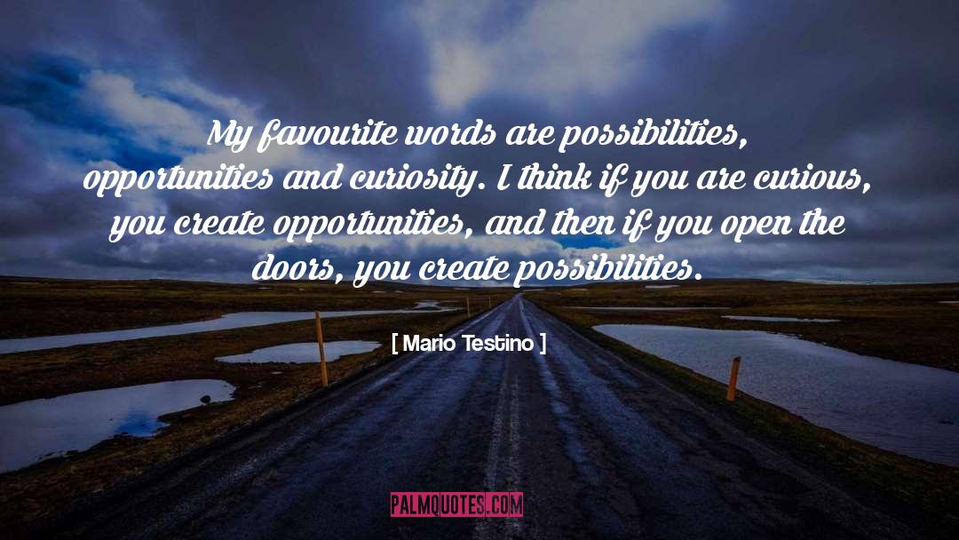 Mario Testino Quotes: My favourite words are possibilities,