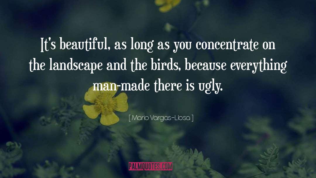 Mario Vargas-Llosa Quotes: It's beautiful, as long as