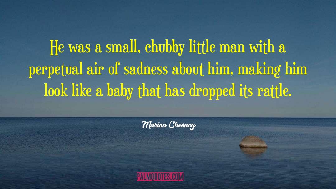 Marion Chesney Quotes: He was a small, chubby