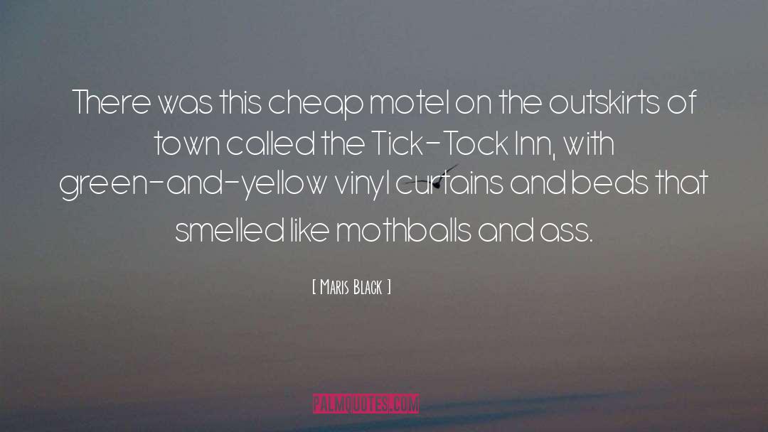 Maris Black Quotes: There was this cheap motel