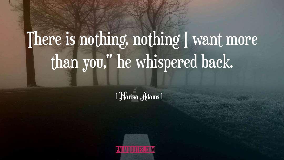 Marisa Adams Quotes: There is nothing, nothing I