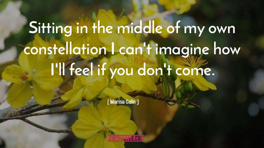 Marisa Calin Quotes: Sitting in the middle of