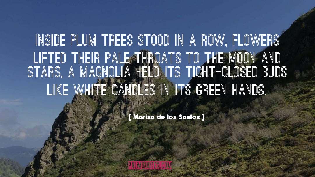Marisa De Los Santos Quotes: Inside plum trees stood in