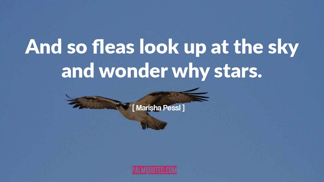 Marisha Pessl Quotes: And so fleas look up