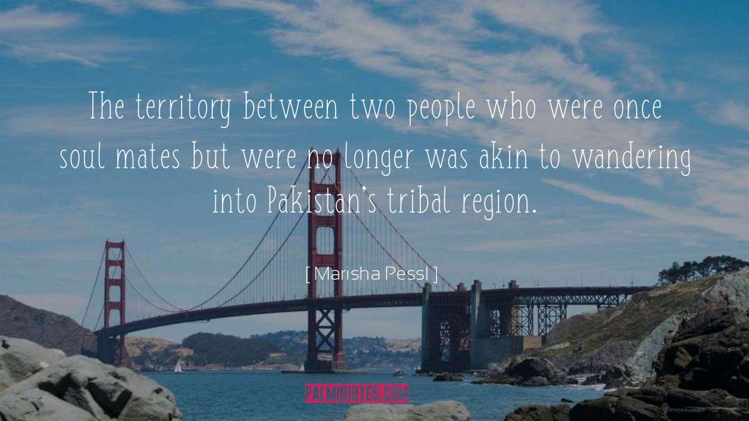 Marisha Pessl Quotes: The territory between two people