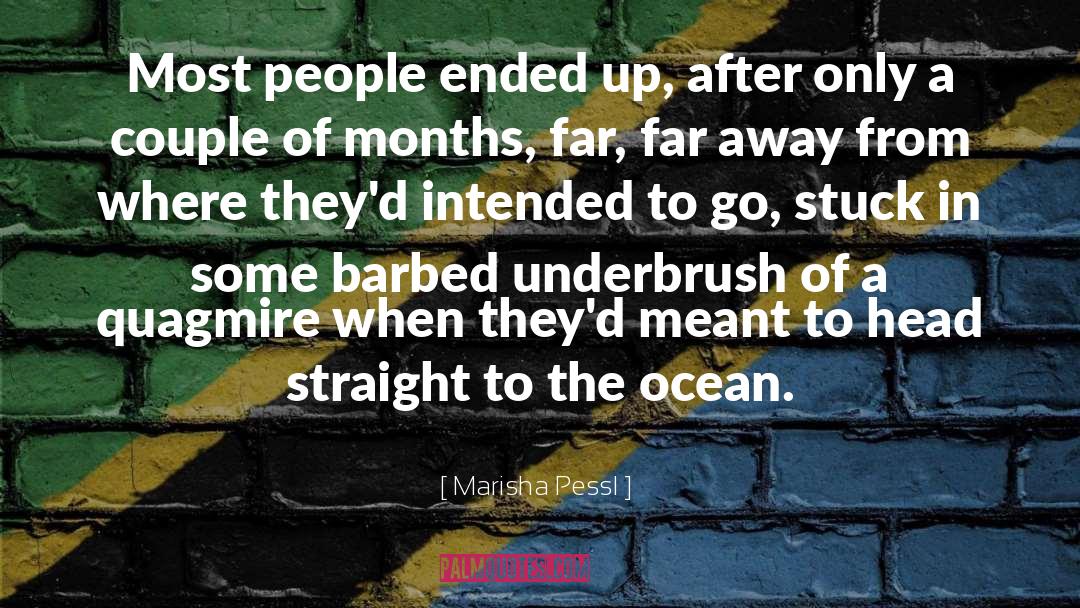 Marisha Pessl Quotes: Most people ended up, after