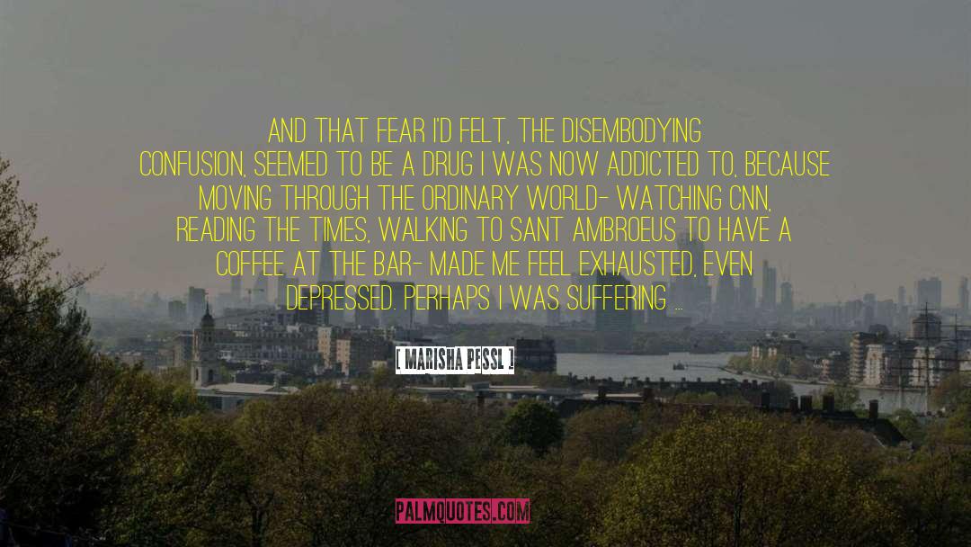 Marisha Pessl Quotes: And that fear I'd felt,