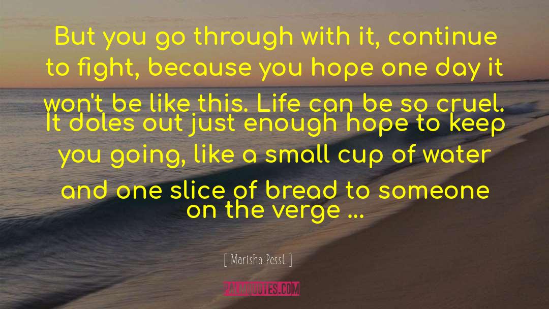 Marisha Pessl Quotes: But you go through with