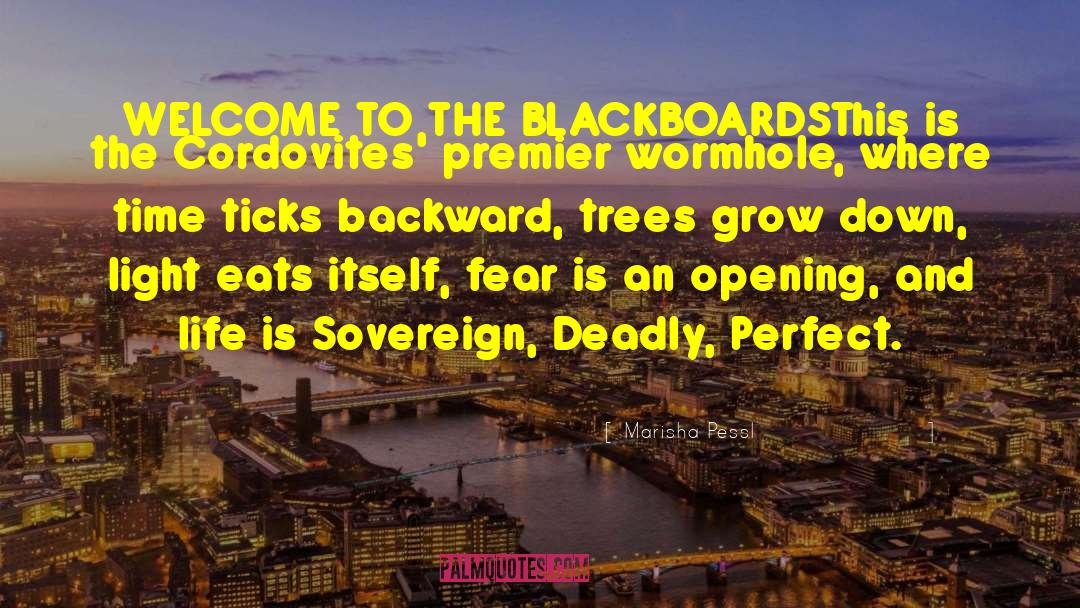 Marisha Pessl Quotes: WELCOME TO THE BLACKBOARDS<br>This is