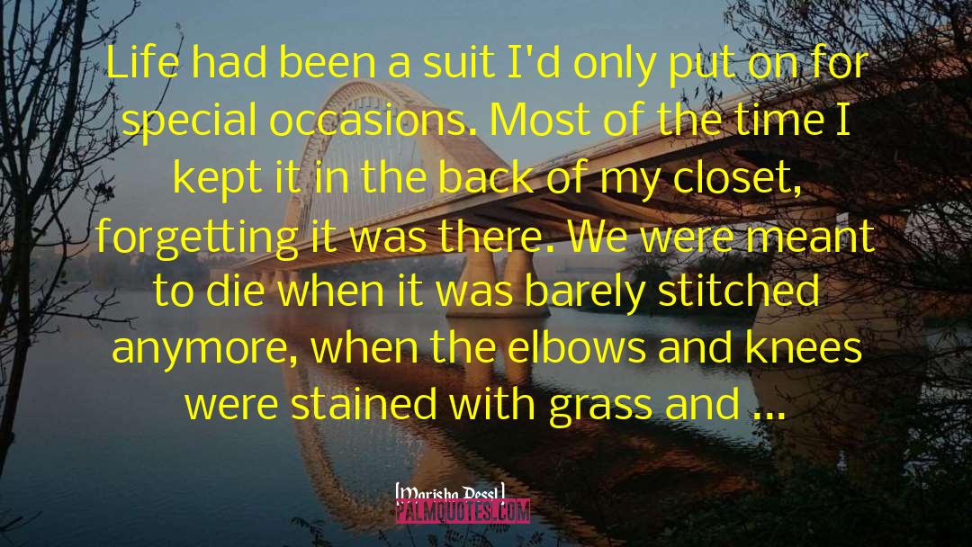 Marisha Pessl Quotes: Life had been a suit