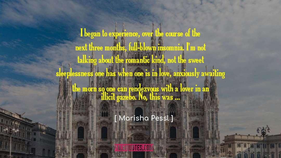 Marisha Pessl Quotes: I began to experience, over