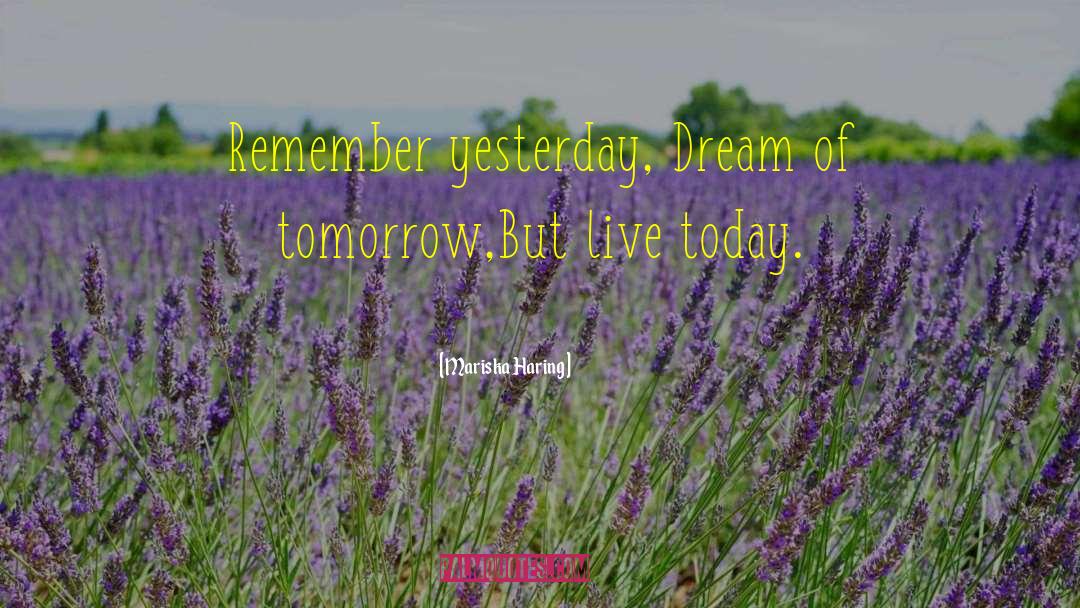 Mariska Haring Quotes: Remember yesterday, Dream of tomorrow,But