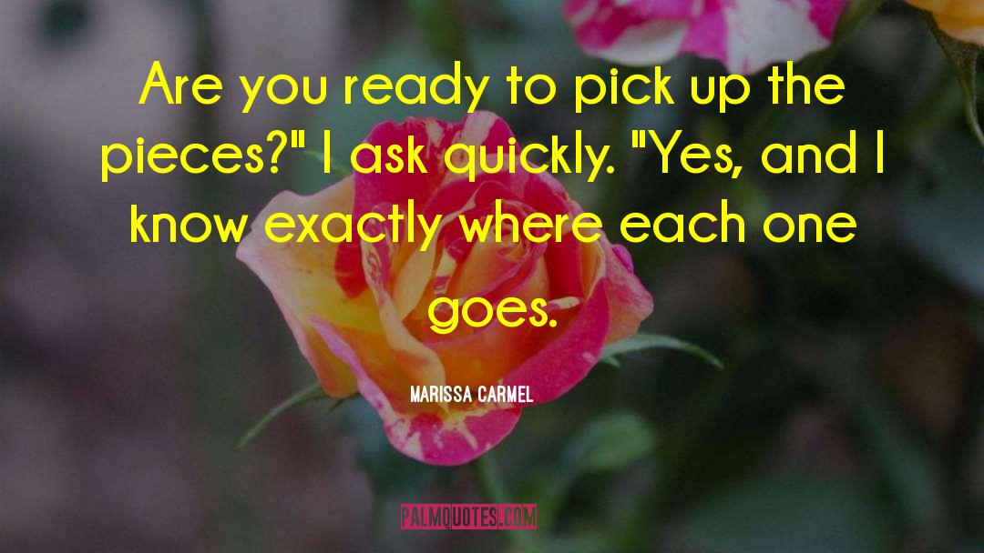 Marissa Carmel Quotes: Are you ready to pick