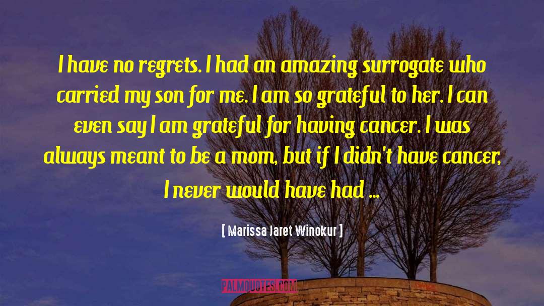 Marissa Jaret Winokur Quotes: I have no regrets. I