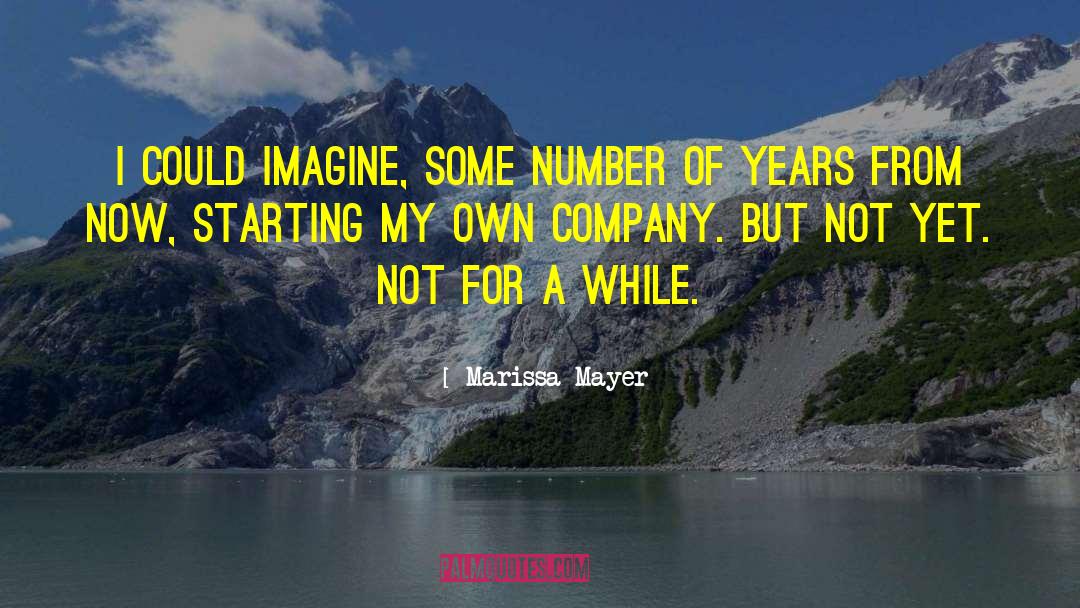 Marissa Mayer Quotes: I could imagine, some number