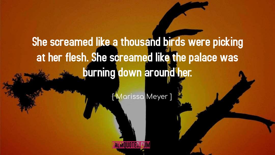 Marissa Meyer Quotes: She screamed like a thousand
