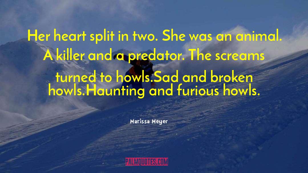 Marissa Meyer Quotes: Her heart split in two.