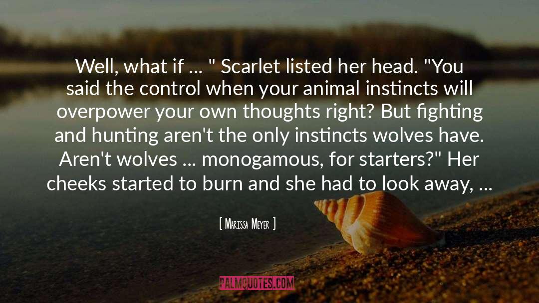 Marissa Meyer Quotes: Well, what if ... 