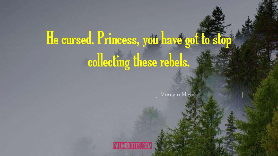 Marissa Meyer Quotes: He cursed. Princess, you have