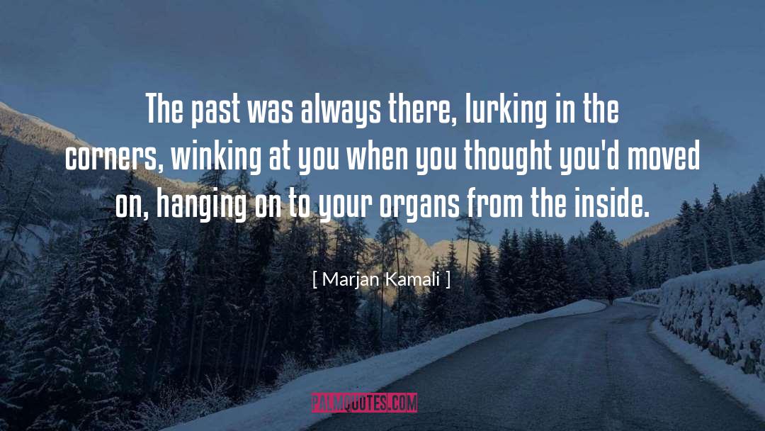 Marjan Kamali Quotes: The past was always there,