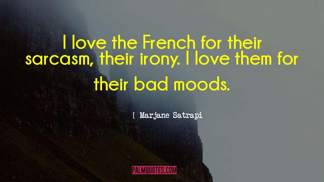 Marjane Satrapi Quotes: I love the French for