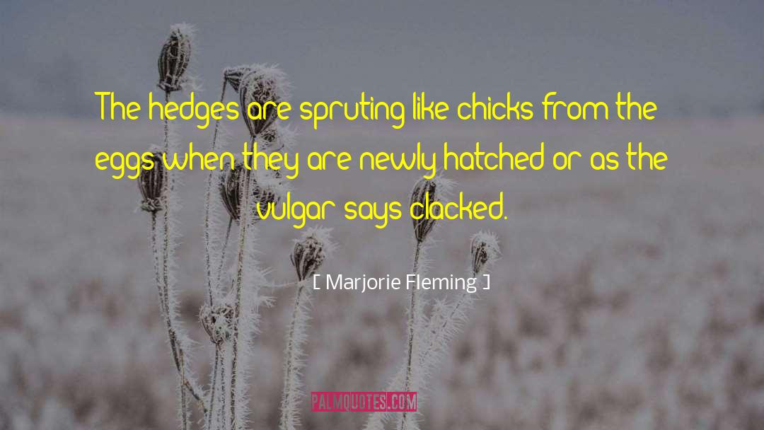 Marjorie Fleming Quotes: The hedges are spruting like