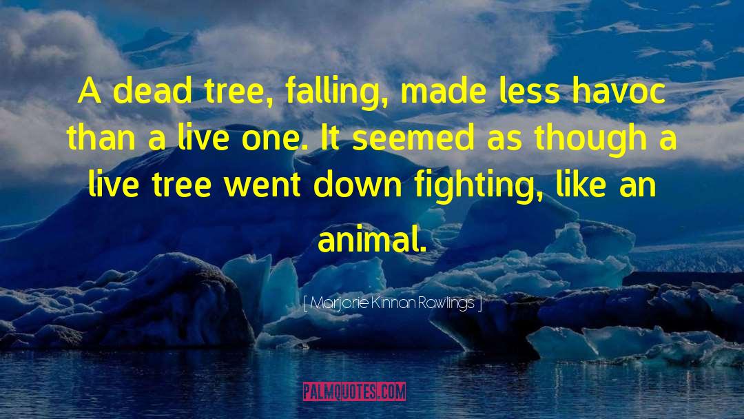 Marjorie Kinnan Rawlings Quotes: A dead tree, falling, made
