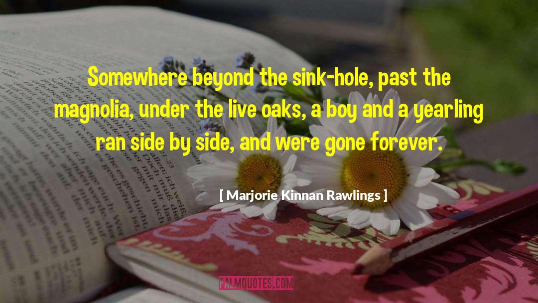 Marjorie Kinnan Rawlings Quotes: Somewhere beyond the sink-hole, past