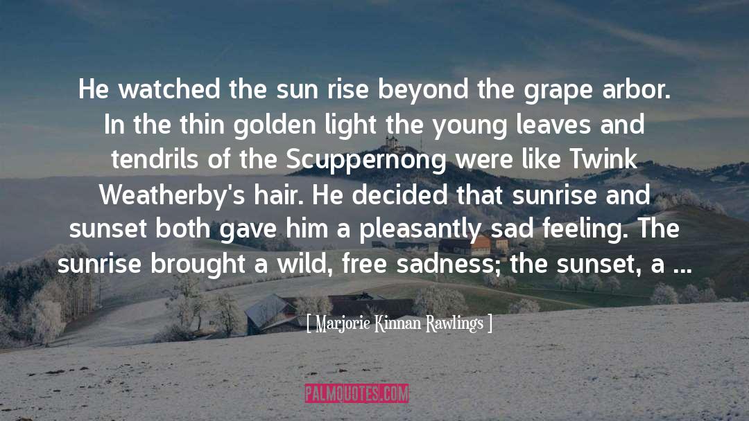 Marjorie Kinnan Rawlings Quotes: He watched the sun rise