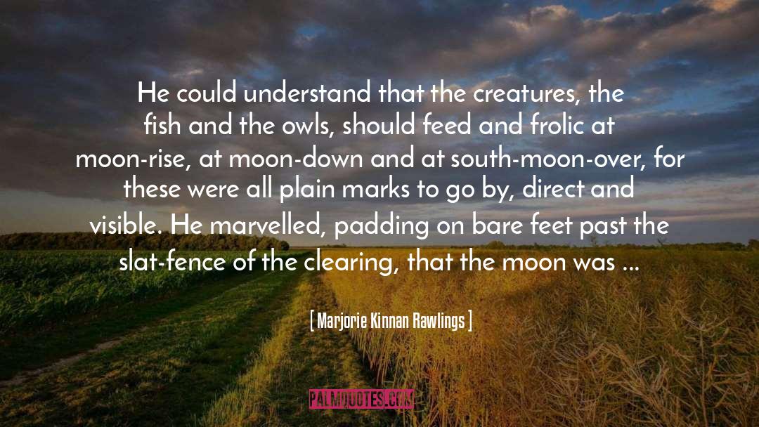 Marjorie Kinnan Rawlings Quotes: He could understand that the