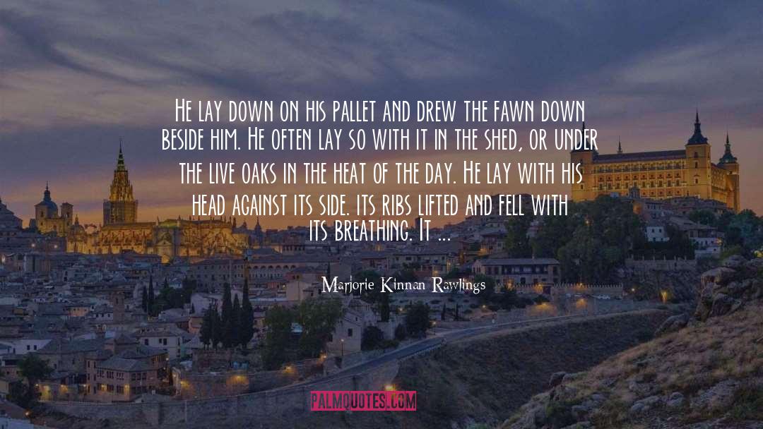 Marjorie Kinnan Rawlings Quotes: He lay down on his