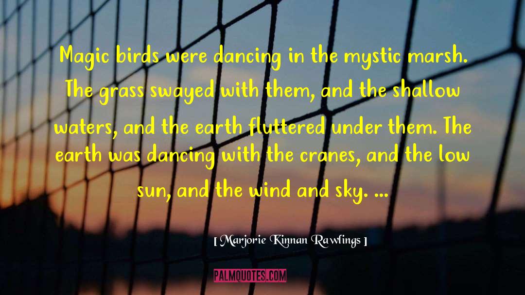 Marjorie Kinnan Rawlings Quotes: Magic birds were dancing in