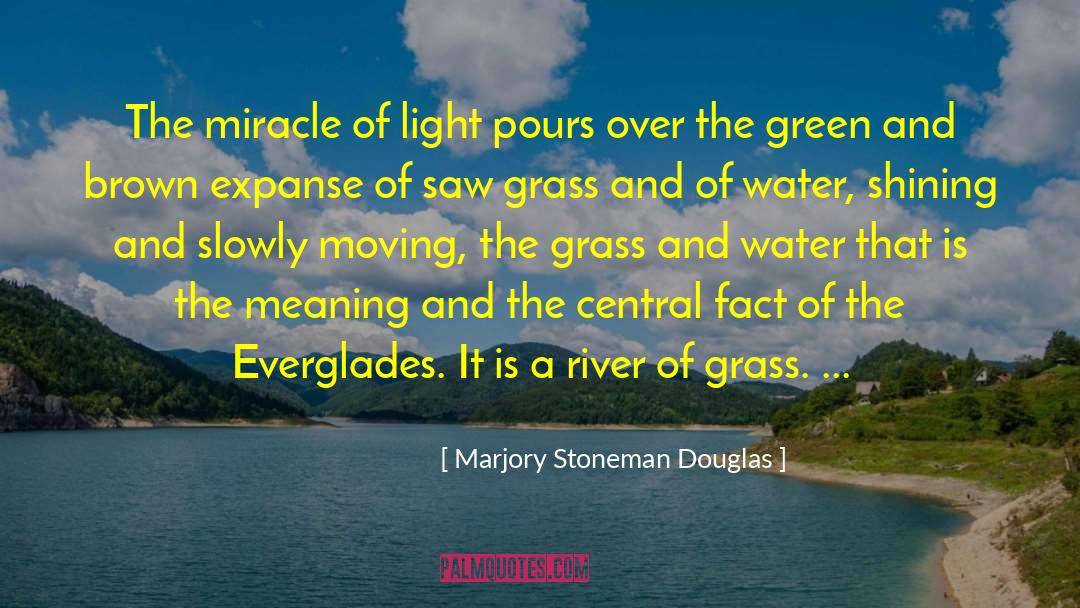 Marjory Stoneman Douglas Quotes: The miracle of light pours