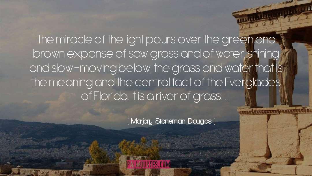 Marjory Stoneman Douglas Quotes: The miracle of the light